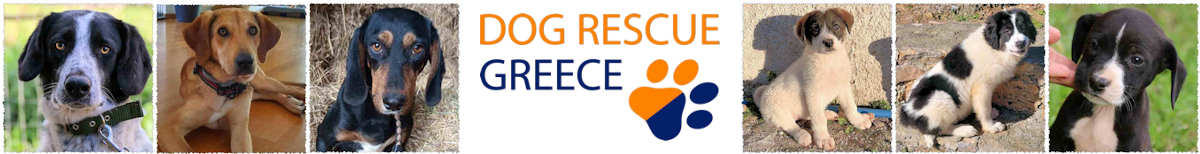 Dog Rescue Greece
